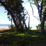 20140524_090620