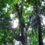 DSCF6038~2
