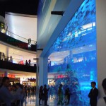 DSCF9726~2