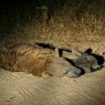 IMG_1208726684563~2~2