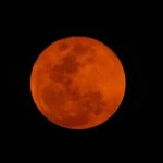 IMG_51243151336653~2~2